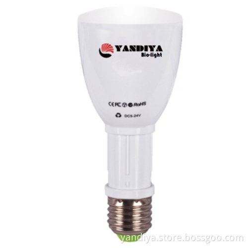 12V DC REMOTE LED BULB